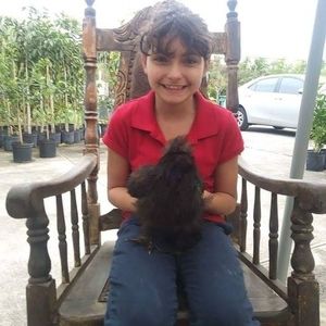 Meet your Posher, Alfredo